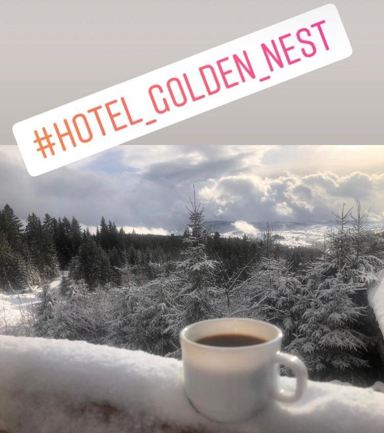 Golden Nest Lejlighed Yablunytsya Eksteriør billede